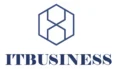 logo itbusiness